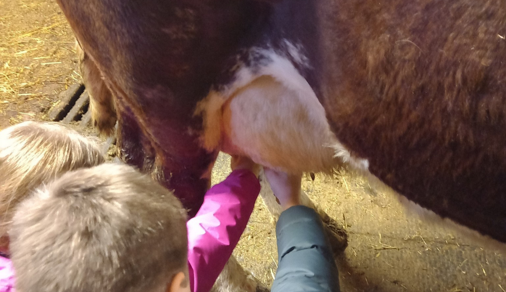 Visite de ferme avec Cathy