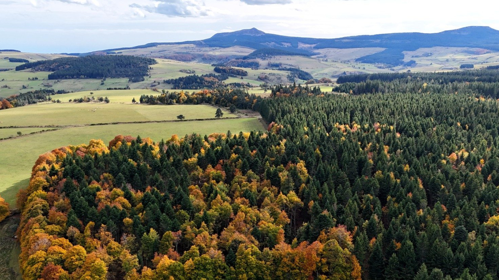 Le plateau du Mézenc en automne