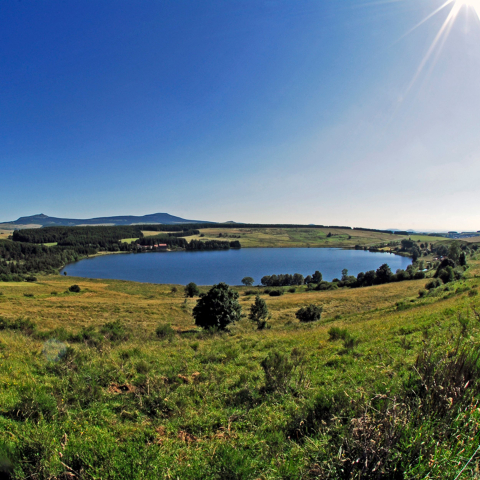 Le lac dans la prairie