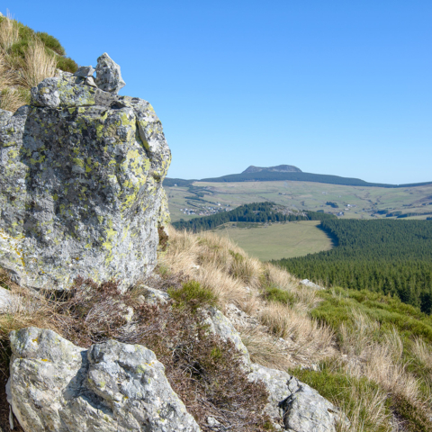 Le Mézenc, sommet du GR40