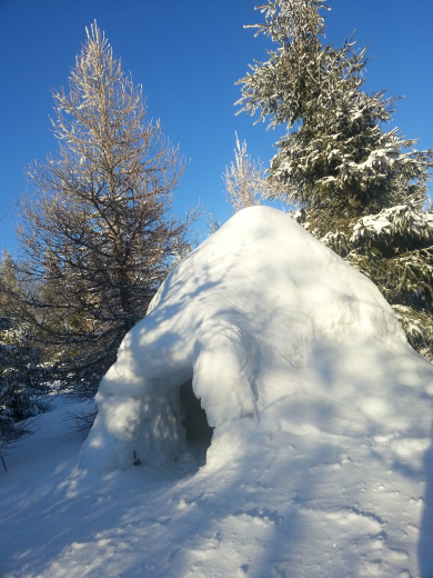 Igloo