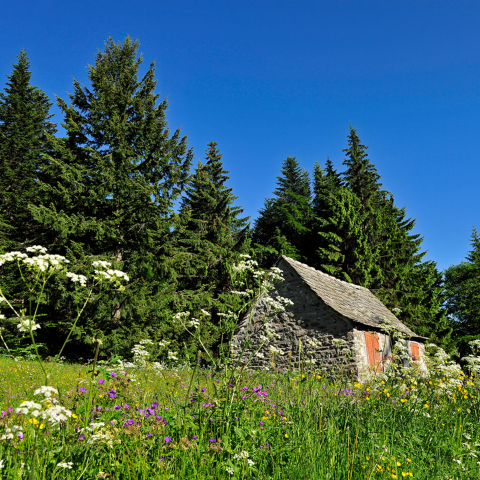 La maison 