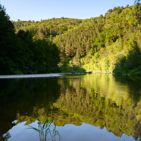 La Loire à Bonnefont