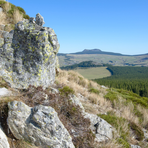 Mont Mézenc depuis le Rocher Tourte