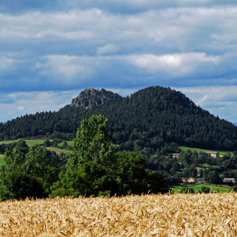 Suc de Saussac