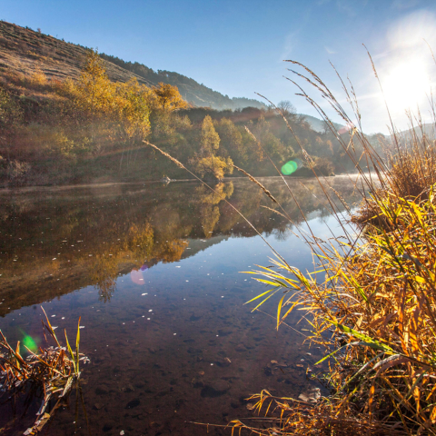 La Loire en automne